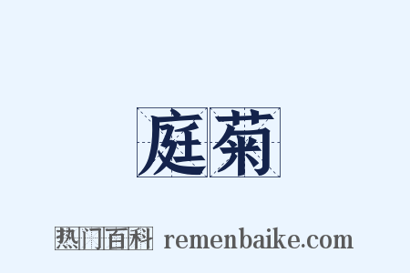 庭菊是什么意思的图片